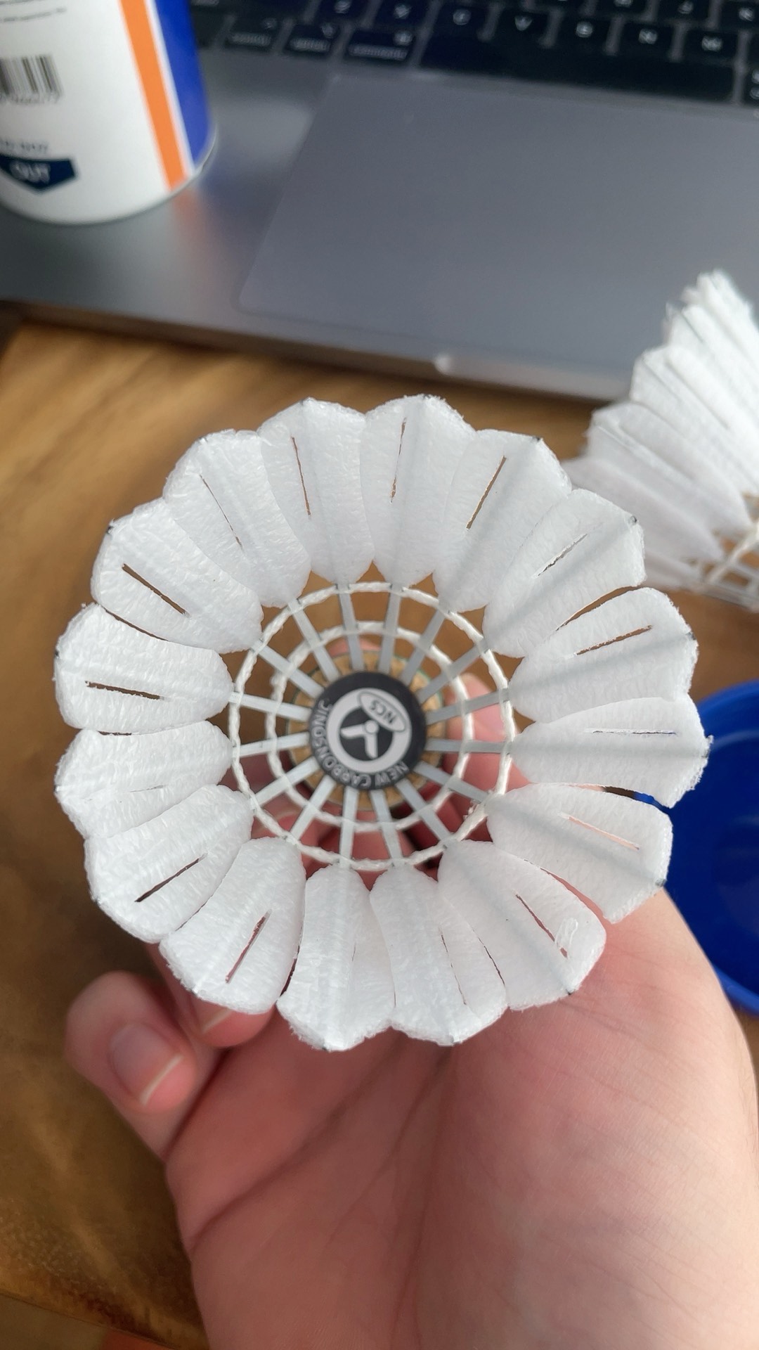 曼联在引援 曼联在引援